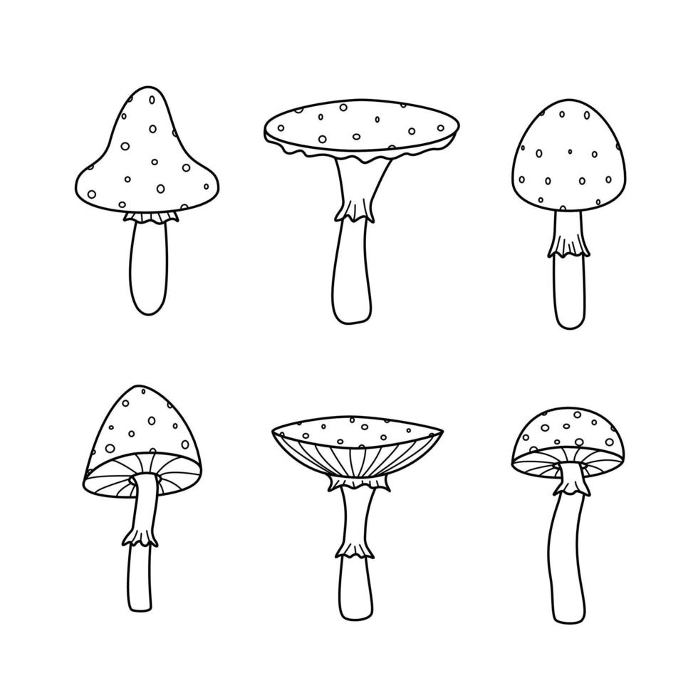 A set of poisonous fly agaric mushrooms. Vector illustration of the doodle style icon