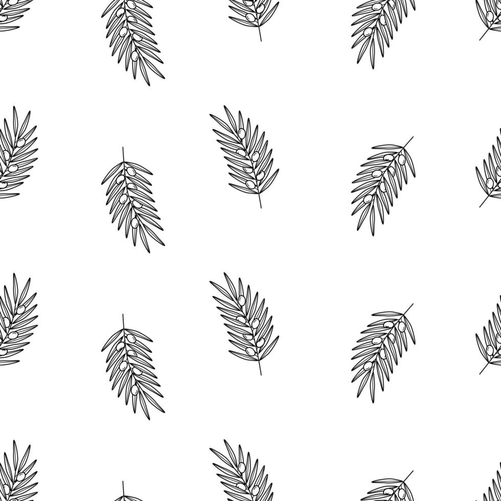 Seamless pattern of olive tree twigs and leaves and olive berries. Vector illustration, background or wallpaper