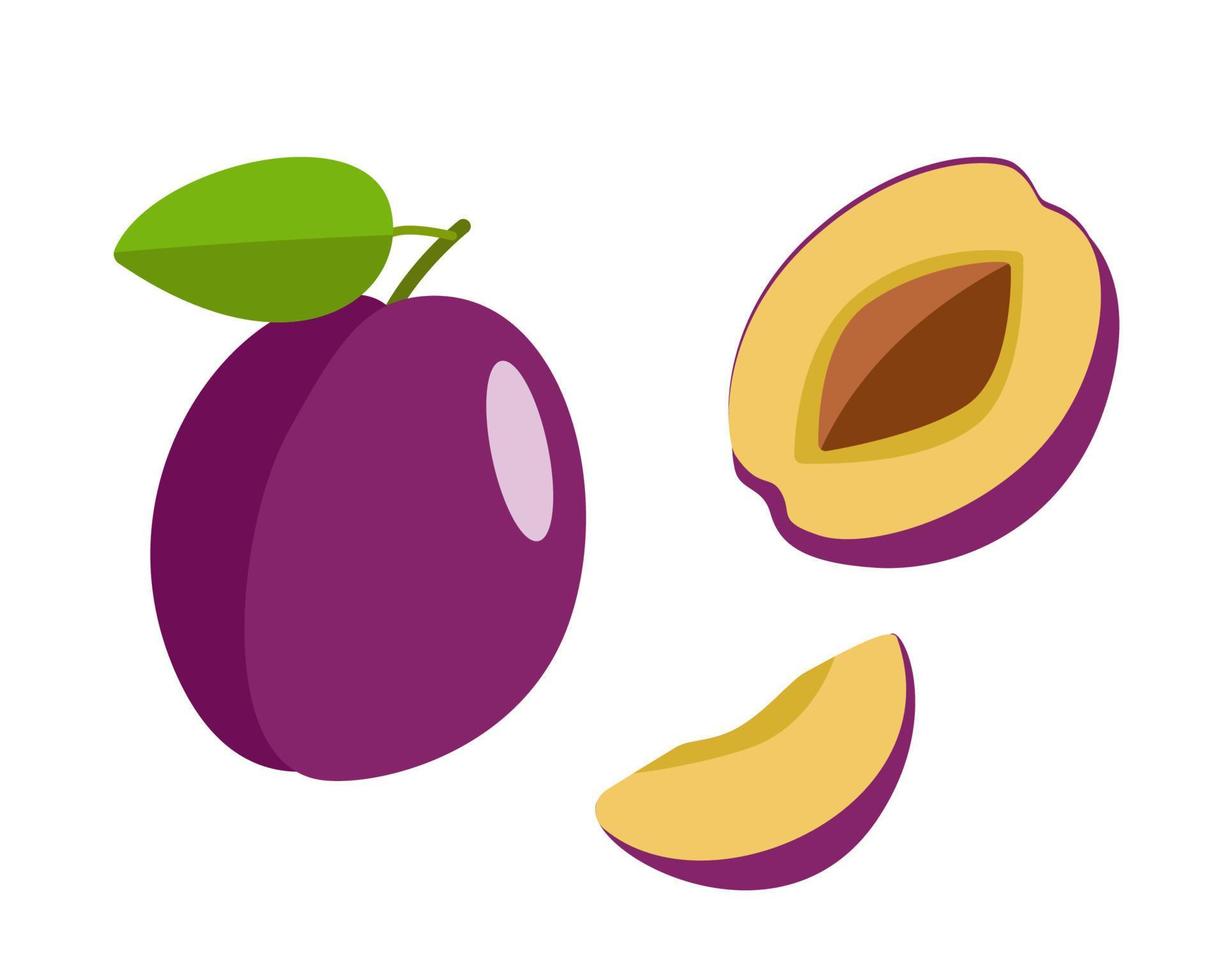 ciruela madura entera con piel morada, media ciruela con hueso y rodaja de ciruela. ilustración vectorial de deliciosas bayas vector