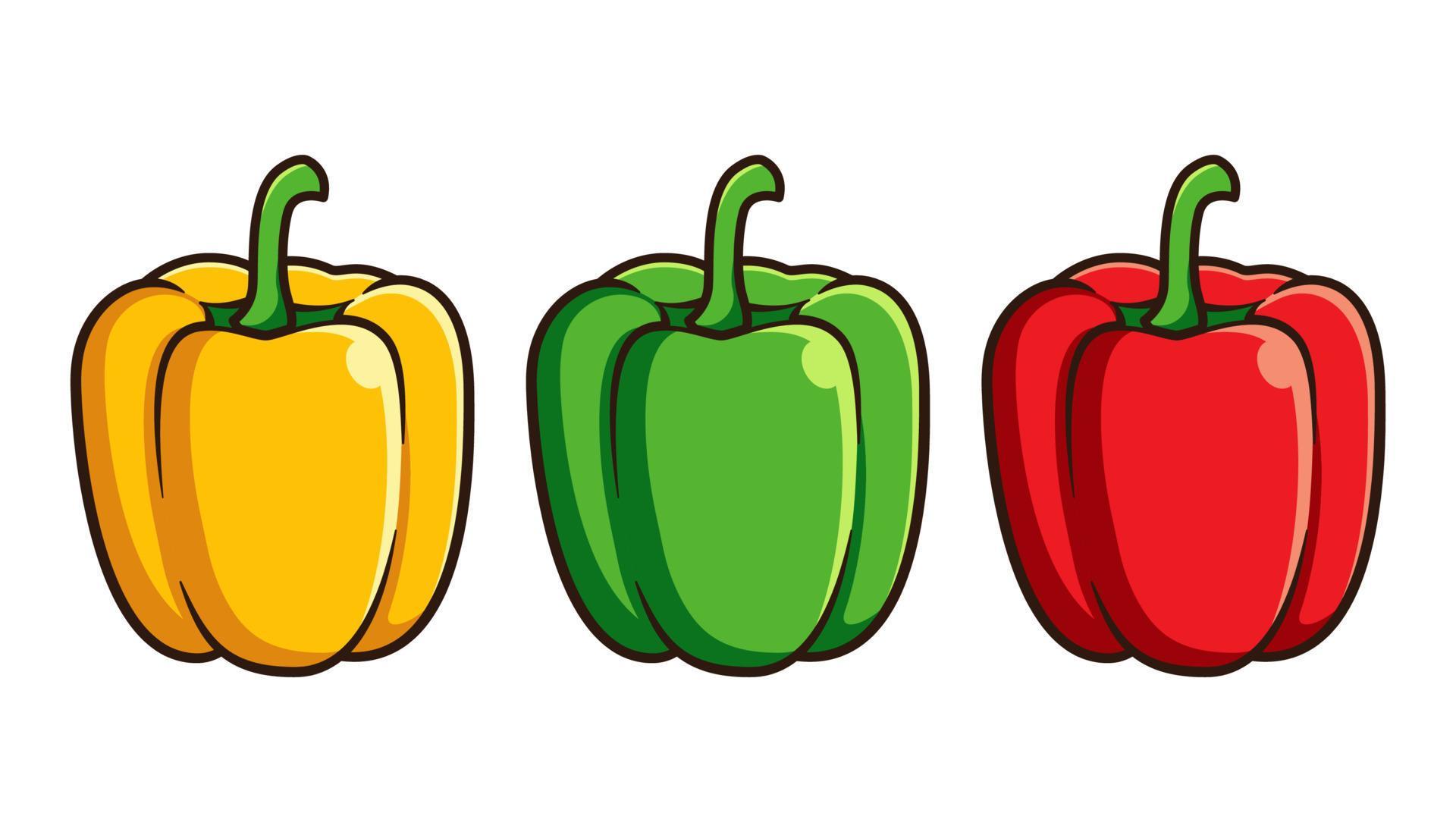 Bell peppers vector isolated on white background 7902066 Vector Art at