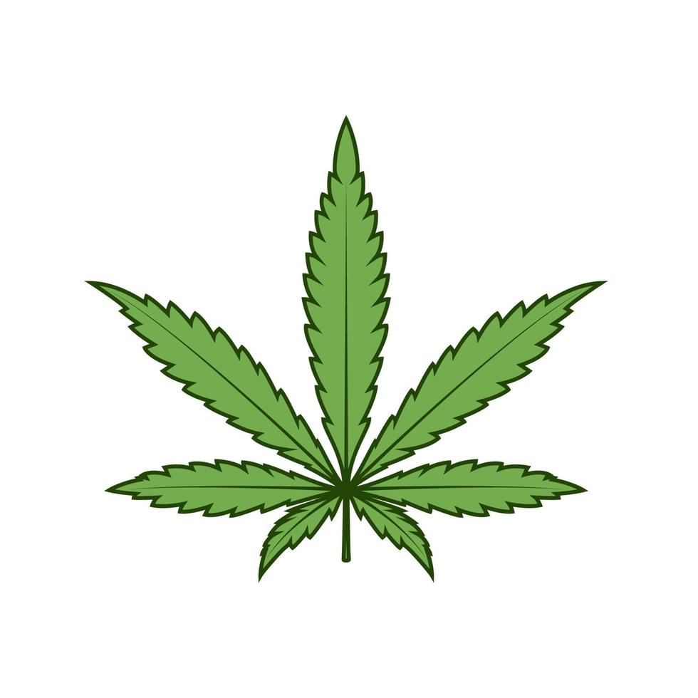 vector de hoja de marihuana aislado sobre fondo blanco