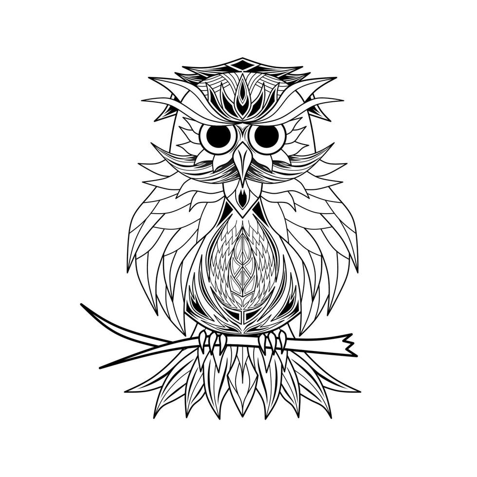 Owl line art on white background vector