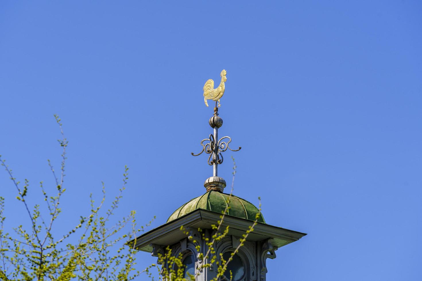 A beautiful weather vane-golden rooster against the background of a blue sky. photo