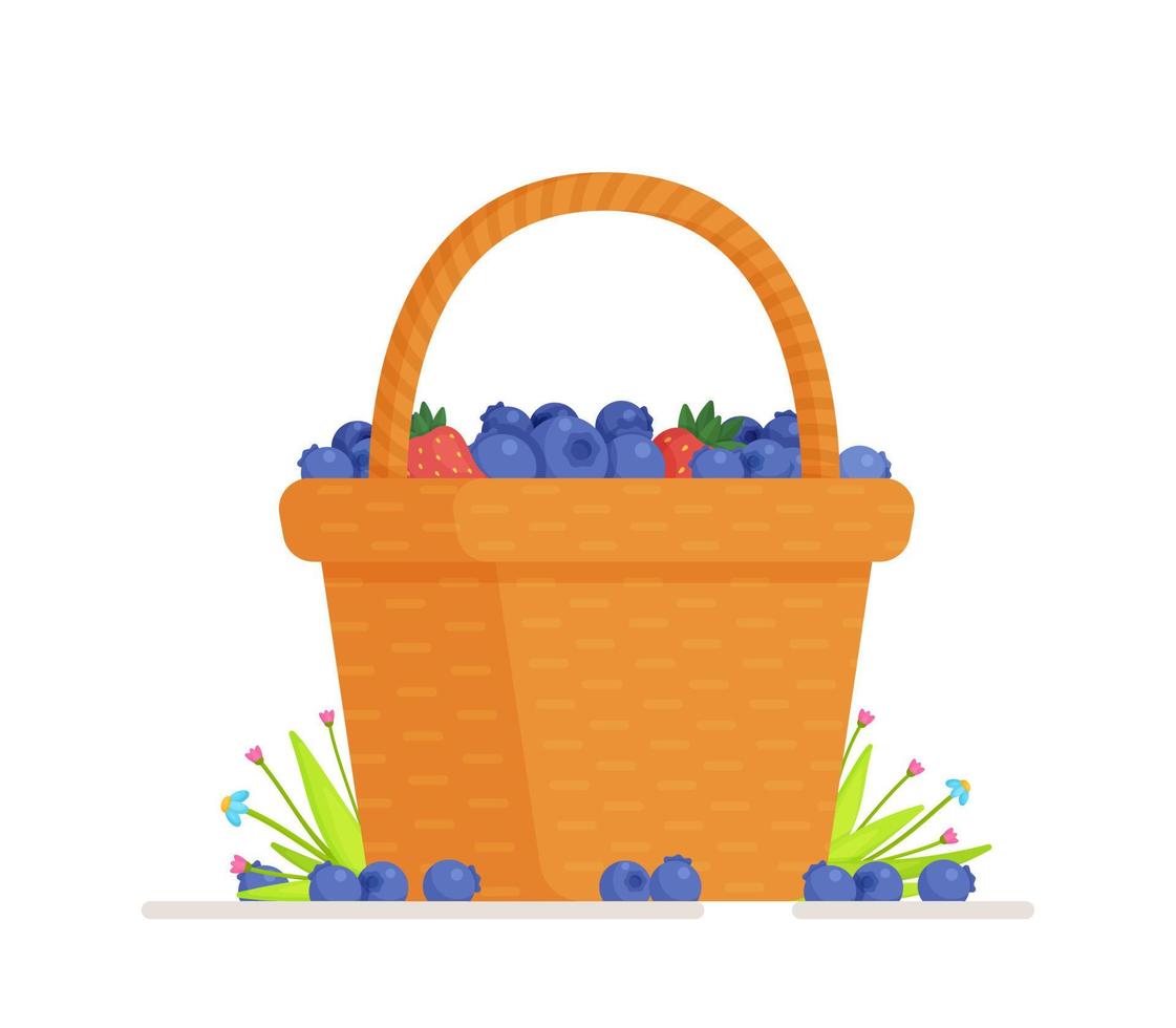 Vector illustration of an isolated blueberry basket.