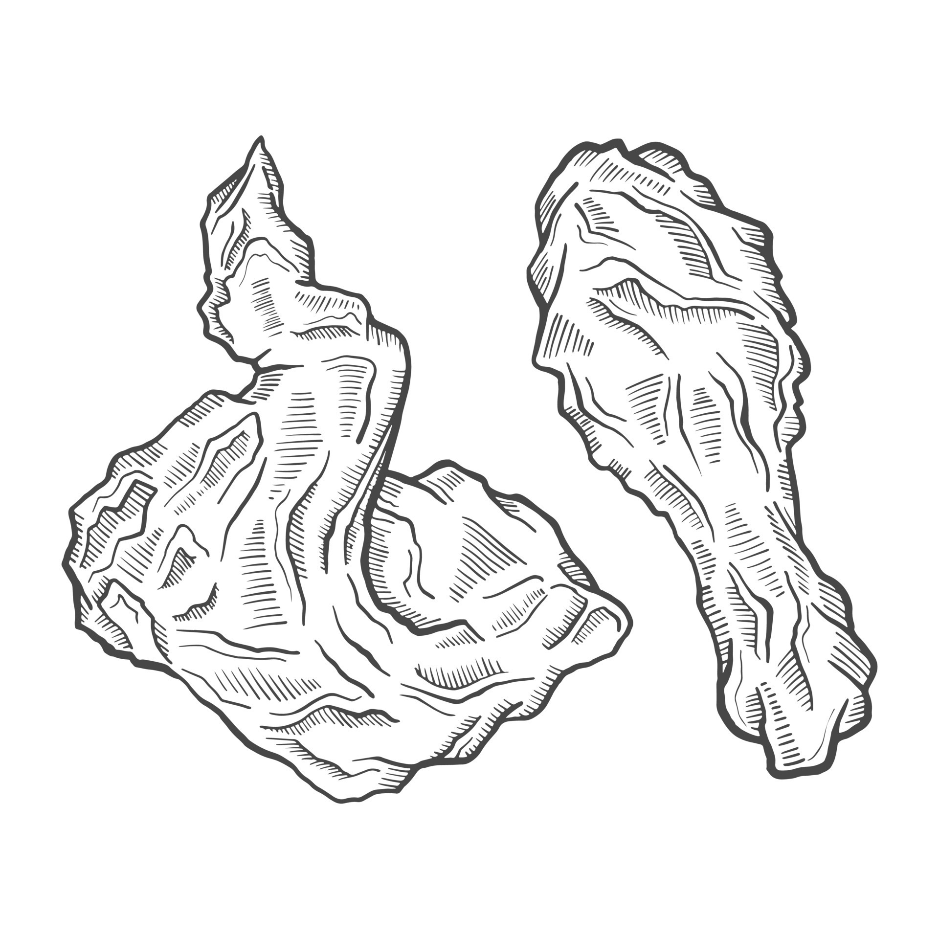 fried chicken fast food single isolated hand drawn sketch with outline