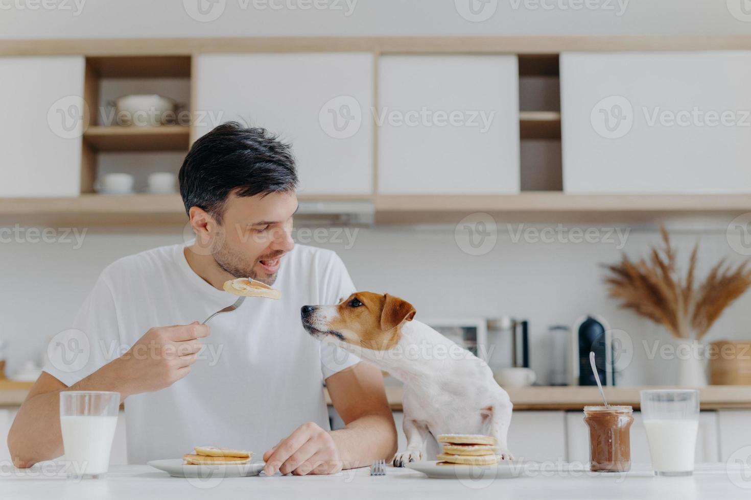 Image of handsome of man in casual white t shirt, eats tasty pancakes, doesnt share with dog, pose against kitchen interior, have fun, drinks milk from glass. Breakfast time concept. Sweet dessert photo
