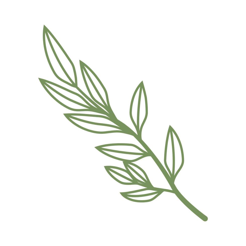 Simple Leaves Line Art vector