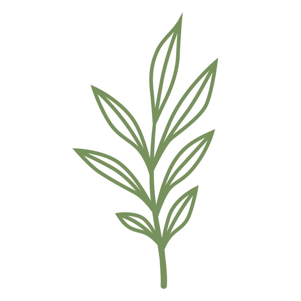 Simple Leaves Line Art vector
