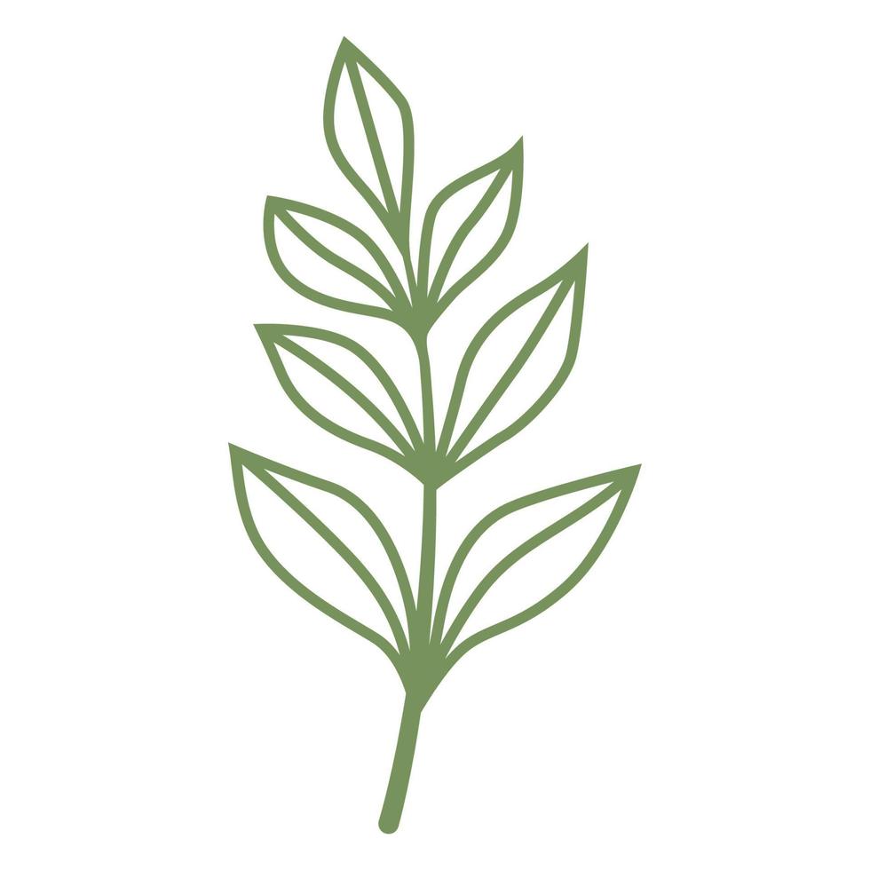 Simple Leaves Line Art vector