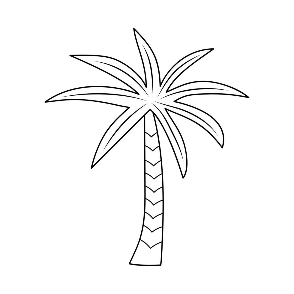 Palm tree in doodle style. vector