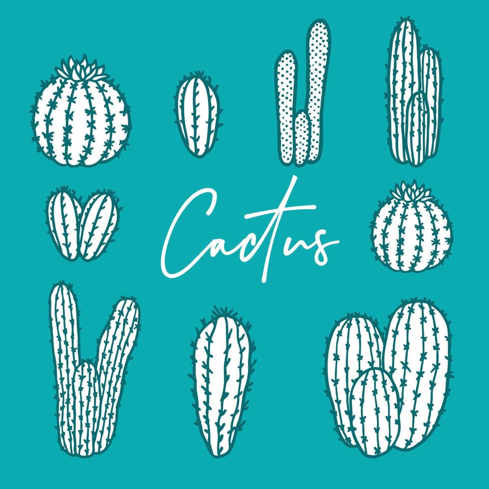 Cactus set illustration vector