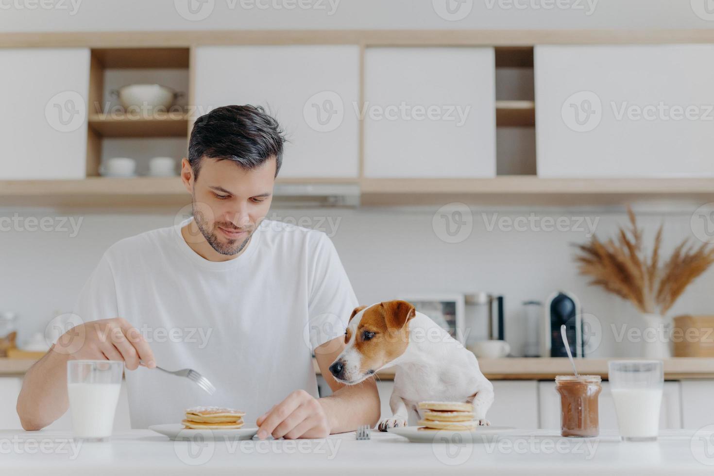 People, food, drink and pets concept. Horizontal shot of handsome young man eats tasty sweet pancakes, his pedigree dog looks with temptation, spend weekend at home, pose against kitchen interior. photo