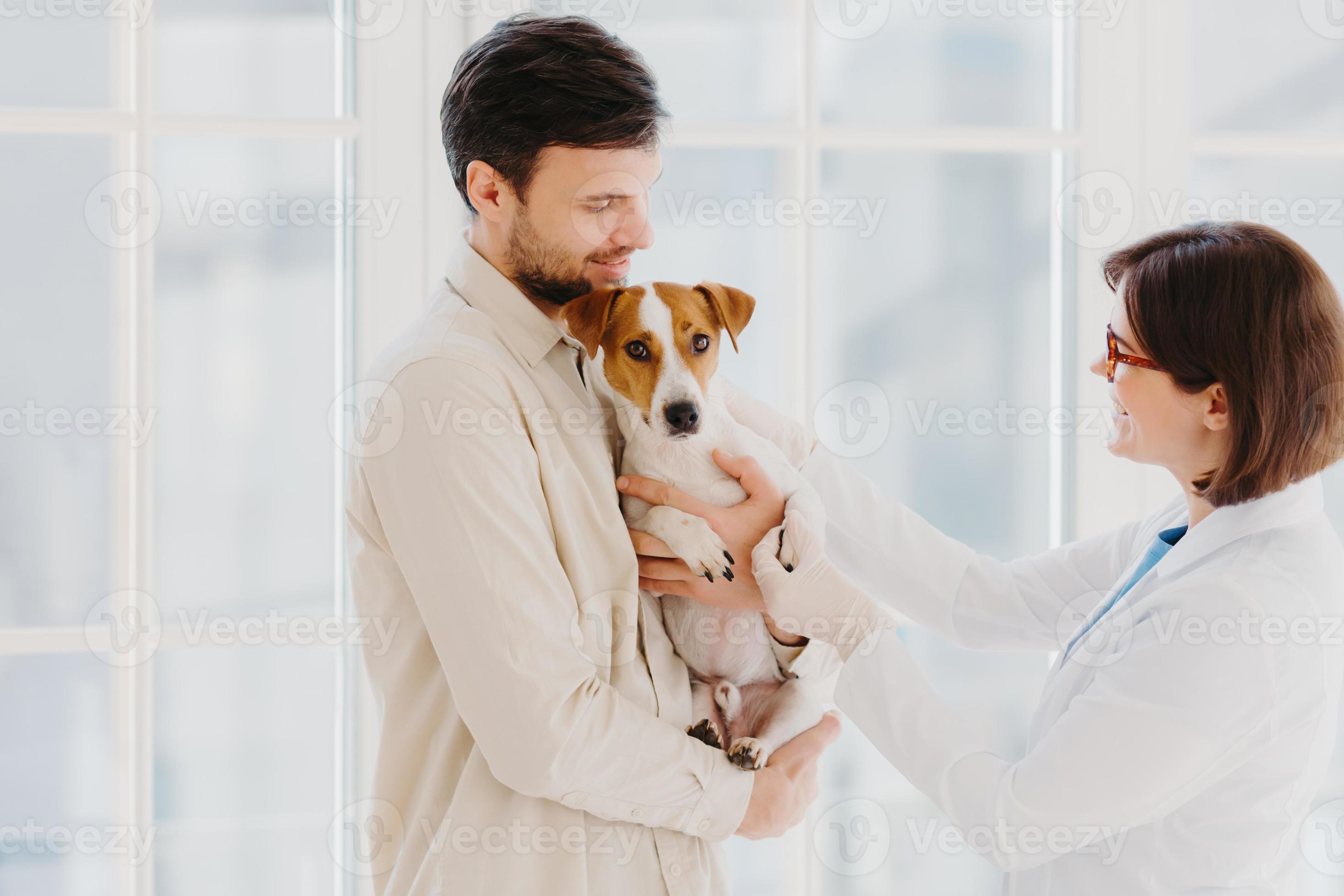 Animal care and diagnosis concept. Shot of vet, dog owner and jack russell terrier pose in veterinarian clinic, doctor examines sick animal, gives prescriptions, stand in medical office or hospital 7909247 Stock Animal care and diagnosis concept. Shot of vet, dog owner and jack russell terrier pose in veterinarian clinic, doctor examines sick animal, gives prescriptions, stand in medical office or hospital 7909247 Stock