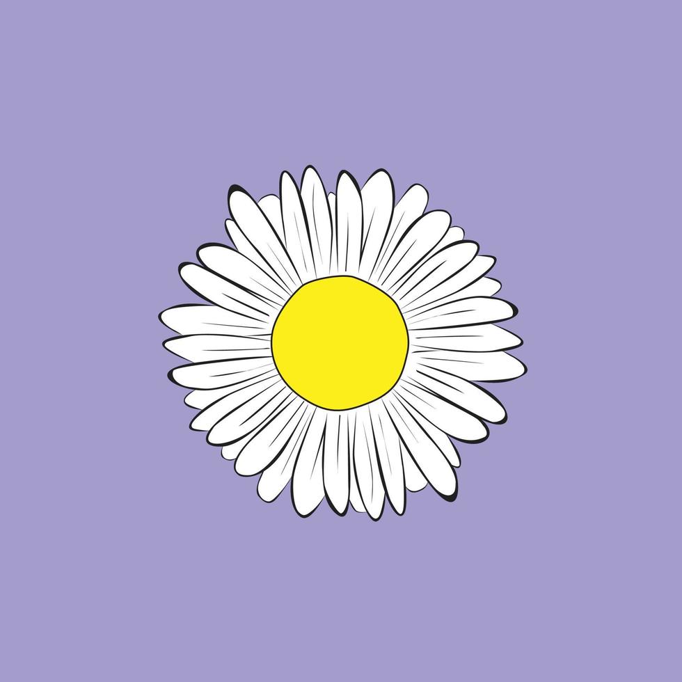 white daisy flower vector design