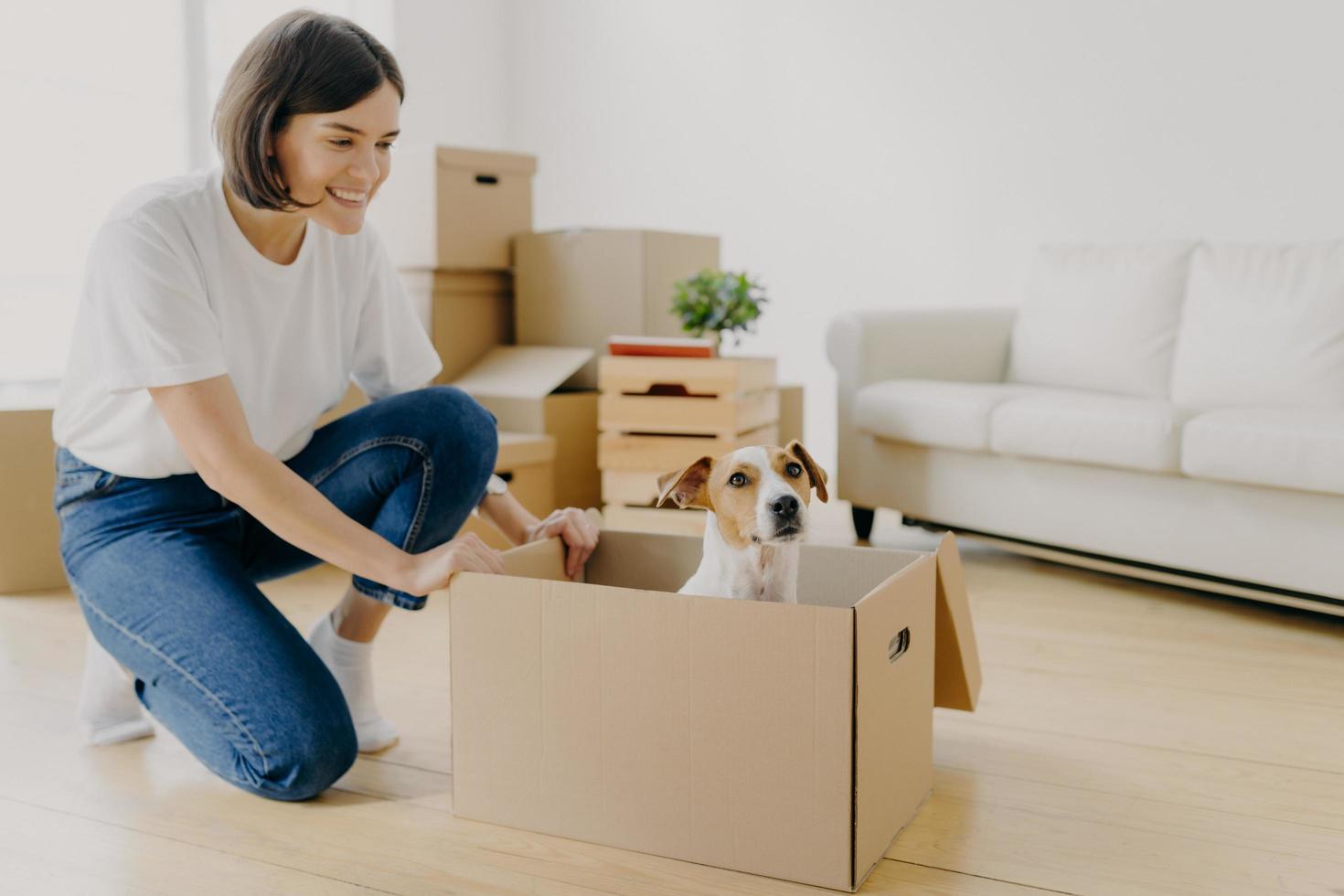 toma interior de una mujer morena complacida vestida con una camiseta blanca y jeans, juega con un perro pedigrí, mueve una caja de cartón con un animal, posa en la sala de estar, compra la primera propiedad nueva. concepto de hipoteca foto