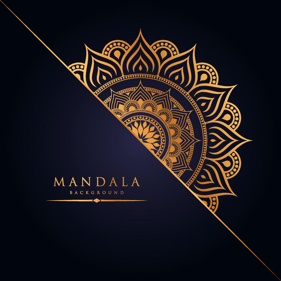 creative professional ornamental mandala background template design vector