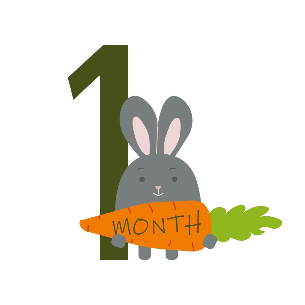 1 month of a baby s life with a bunny vector
