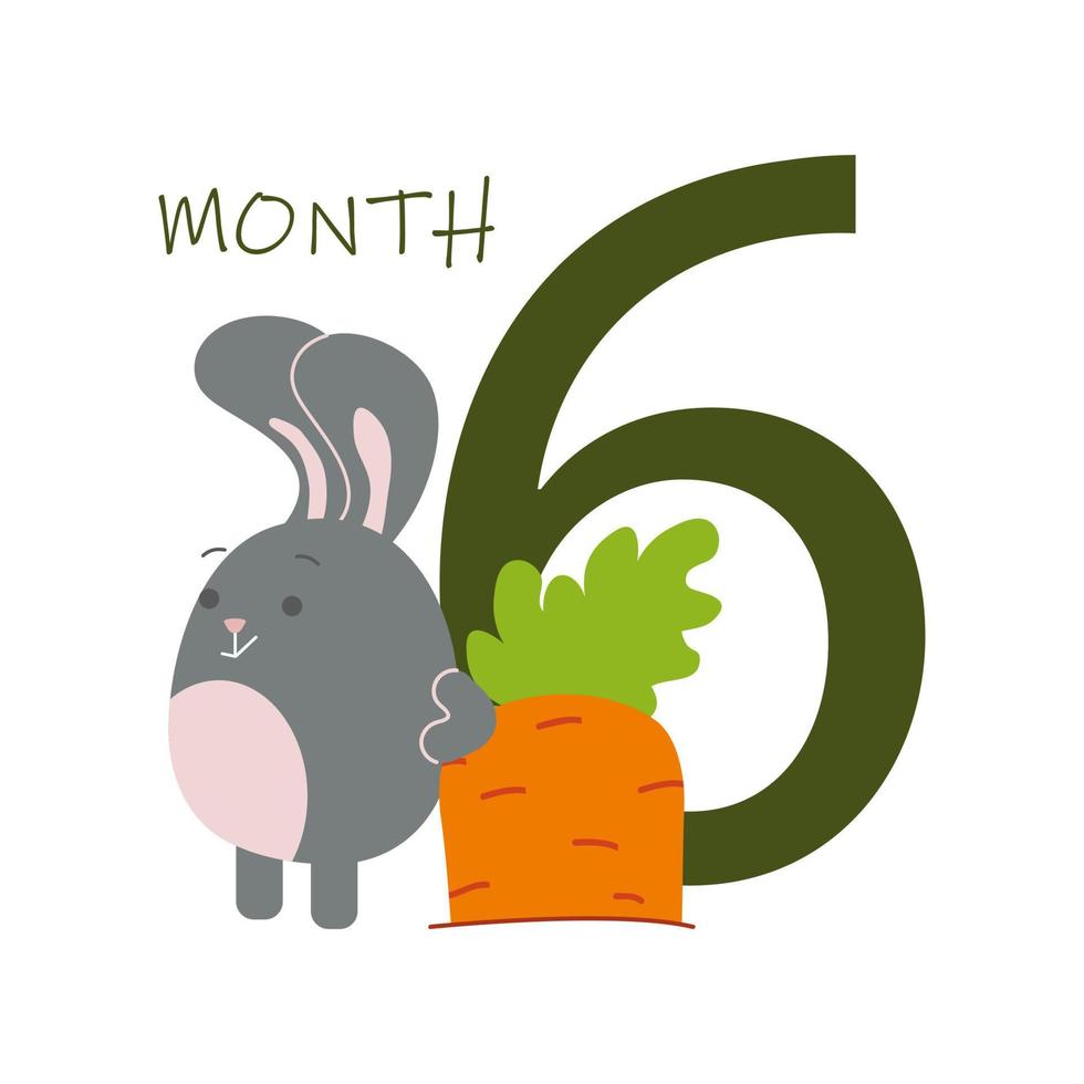 6 month of a baby s life with a bunny vector