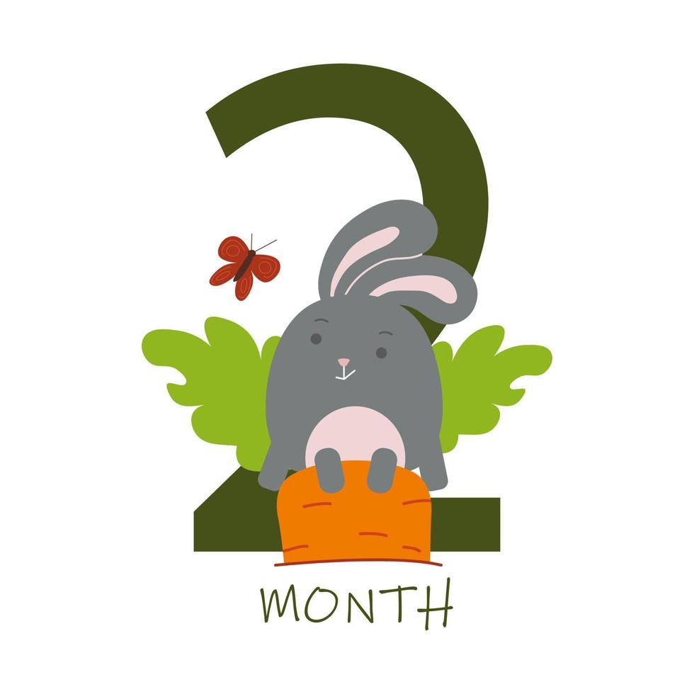2 month of a baby s life with a bunny vector