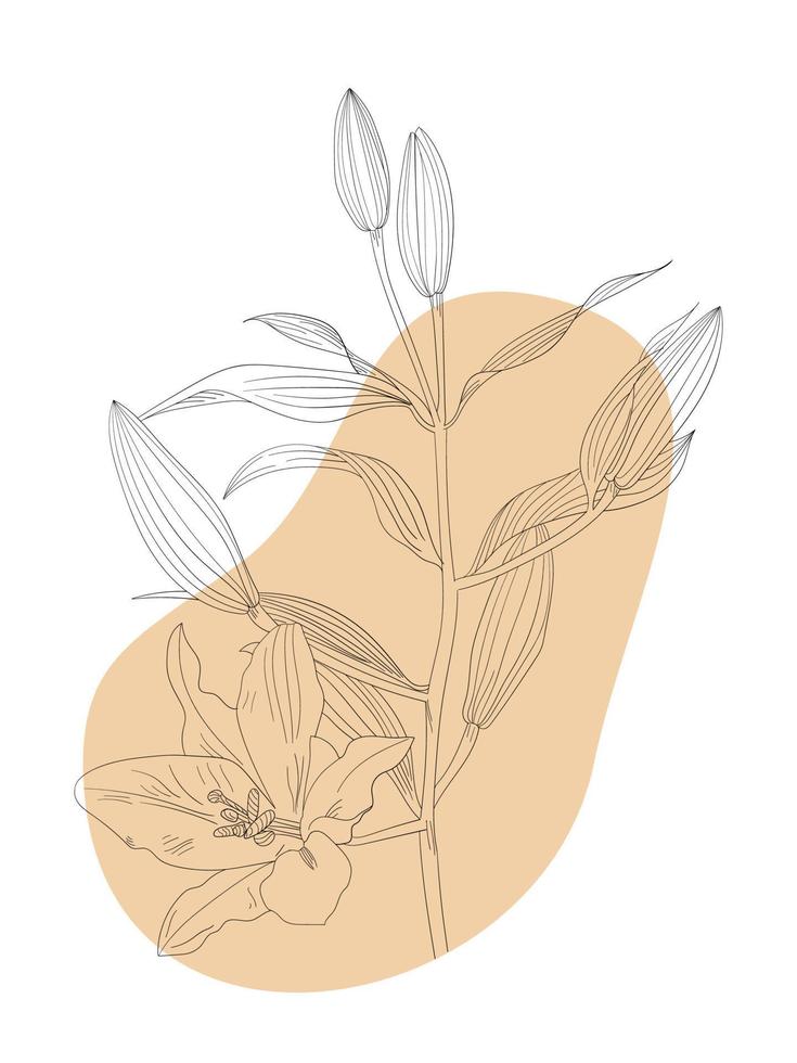 botanical line art floral leaves, plants. Hand drawn sketch branches. vector
