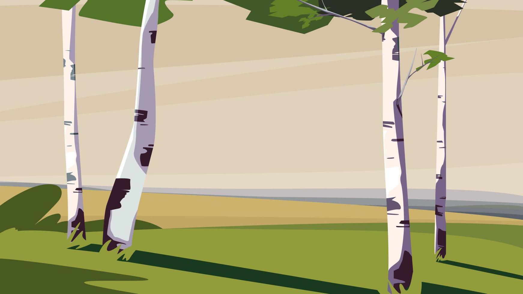 Birches on the meadow. vector