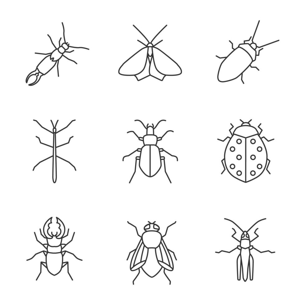 Insects linear icons set. Earwig, moth, cockroach, stick bug, ground and stag beetles, ladybug, housefly, grasshopper. Thin line contour symbols. Isolated vector outline illustrations