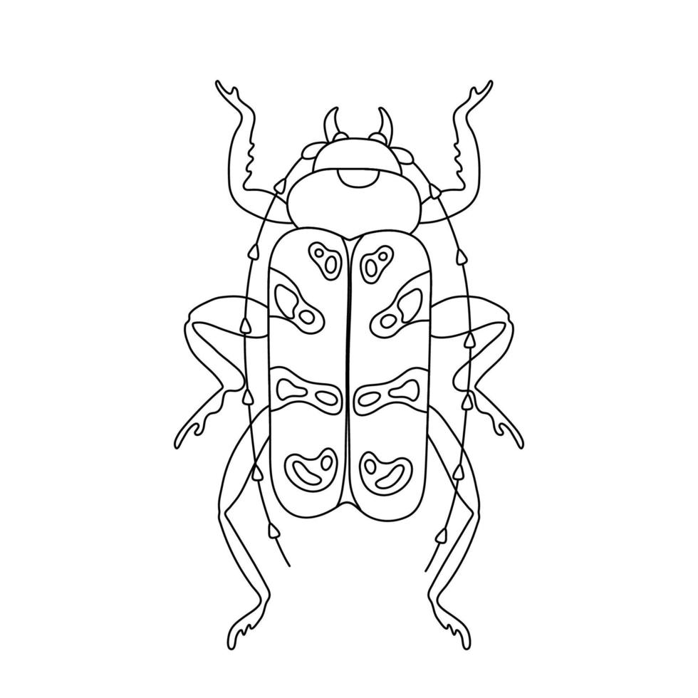 escarabajo insecto exótico. línea de insectos voladores tropicales arte vector dibujado a mano ilustración aislada. elemento de diseño místico estilizado para tatuaje, impresión, portada, libro, página de color
