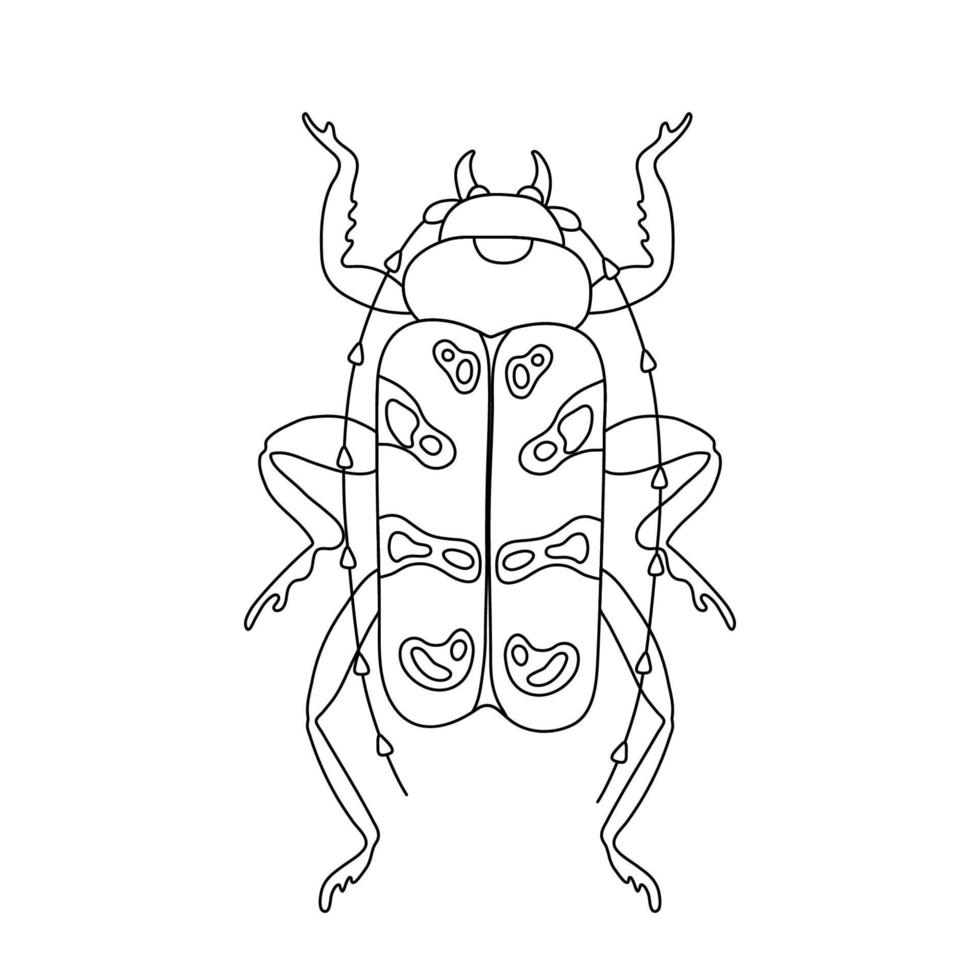 Exotic insect bug beetle. Tropical flying insect line art vector hand drawn isolated illustration. Stylized mystical design element for tattoo, print, cover, book, coloring page