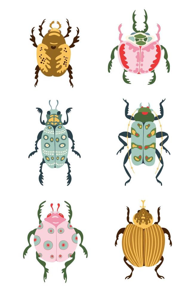 especies de insectos y colección de iconos de escarabajos exóticos. conjunto de varios insectos en estilo de dibujos animados planos aislados en fondo blanco. ilustración vectorial para impresión, guardería, prendas de vestir, tarjetas. vector