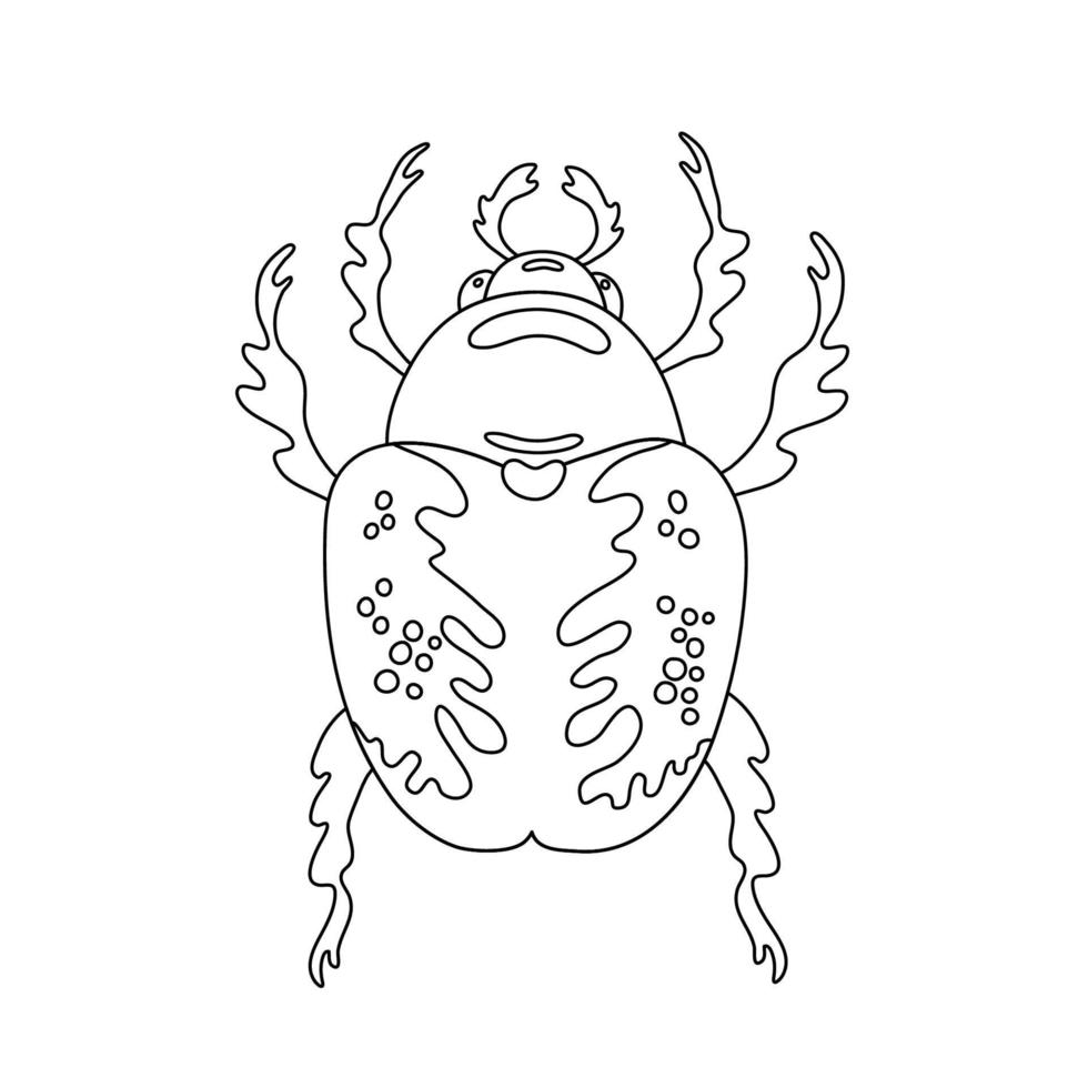 Exotic insect bug beetle. Tropical flying insect line art vector hand drawn isolated illustration. Stylized mystical design element for tattoo, print, cover, book, coloring page