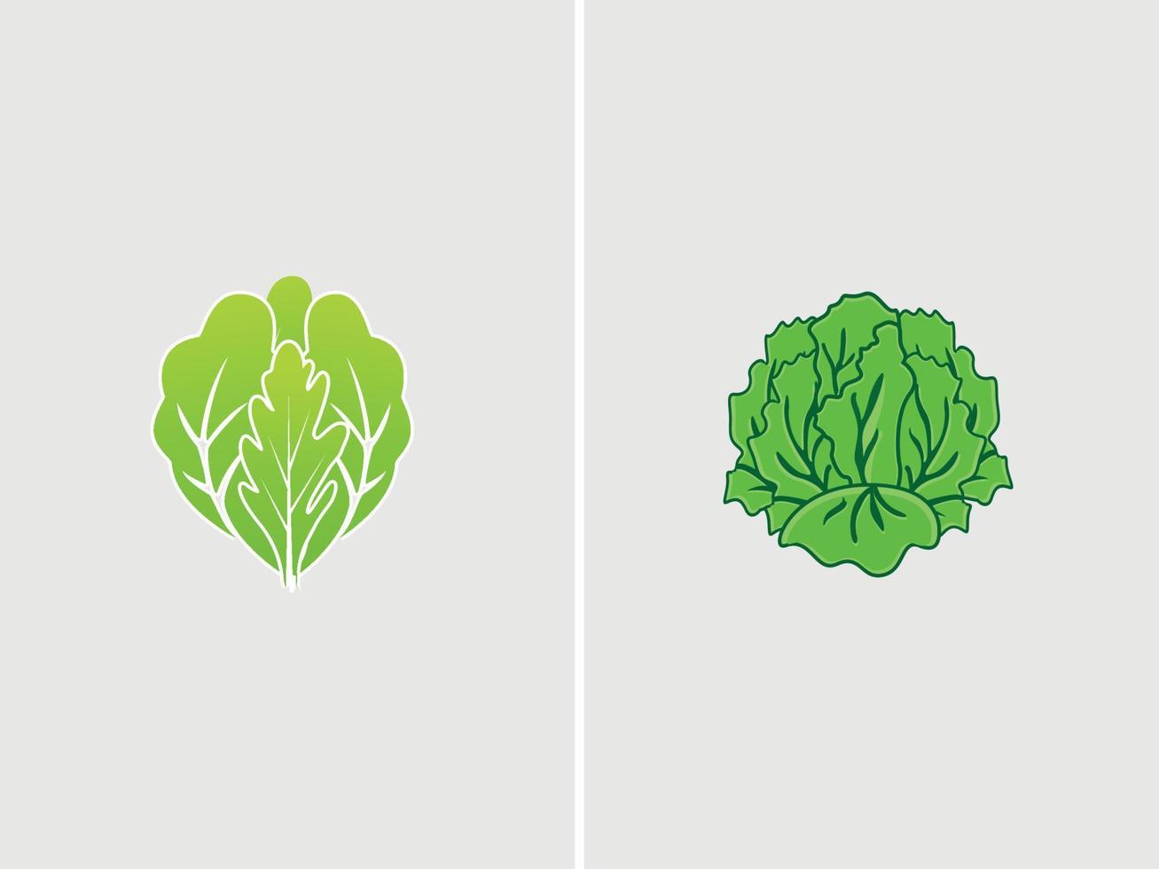 Fresh vegetables green lettuce icon symbol illustration food nature icon concept vector