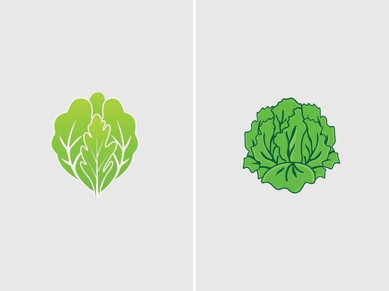 verduras frescas lechuga verde icono símbolo ilustración comida naturaleza icono concepto vector