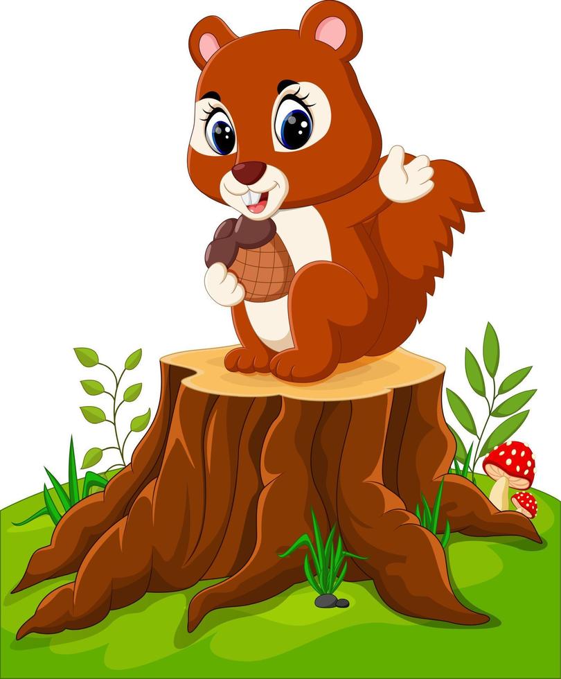 Cartoon funny squirrel holding pine cone on tree stump vector