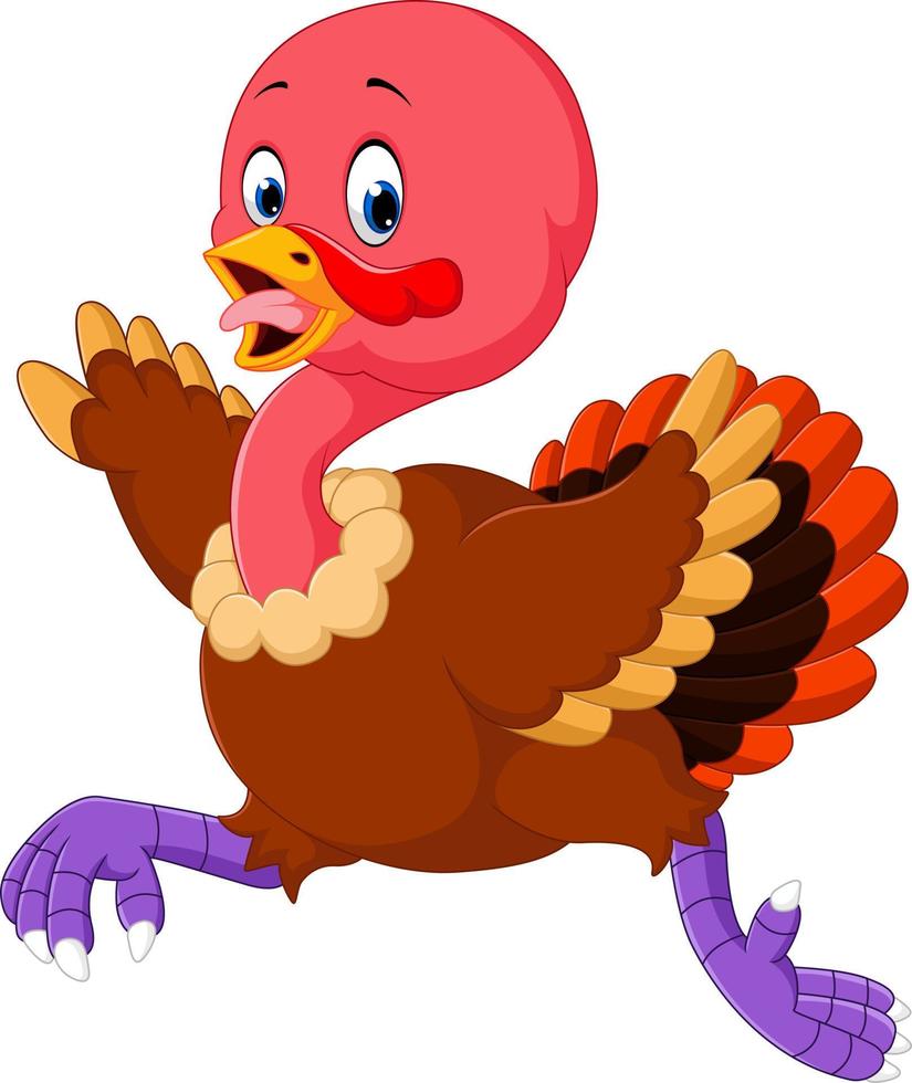 Cartoon turkey running vector