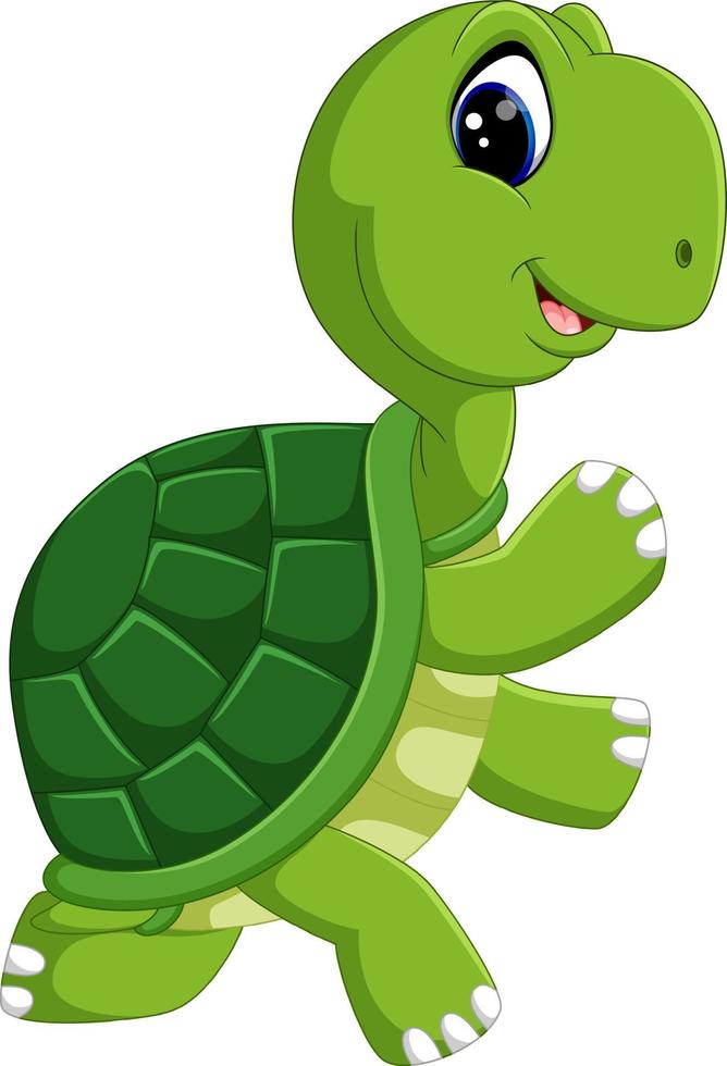 caricatura de tortuga linda vector