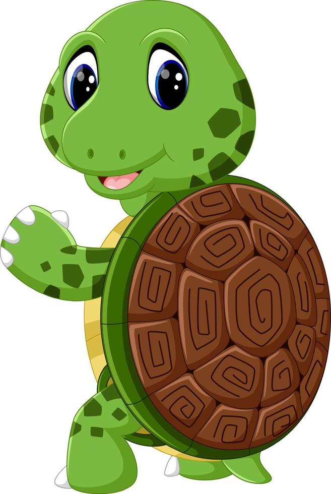 cute turtle cartoon vector