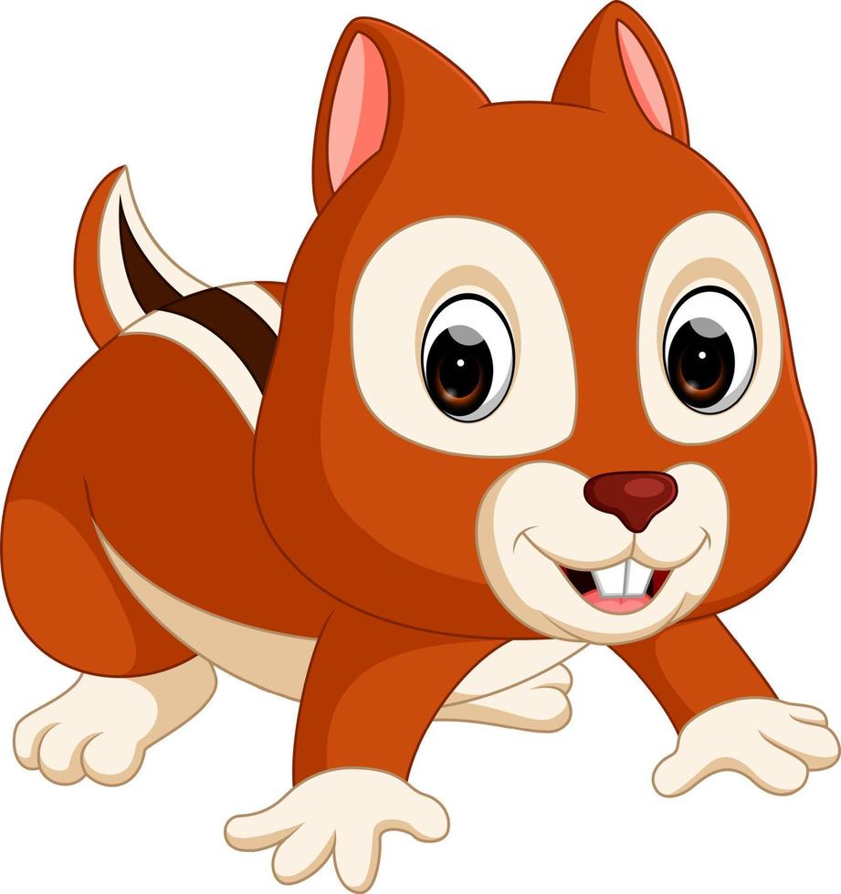 Cute squirrel cartoon vector