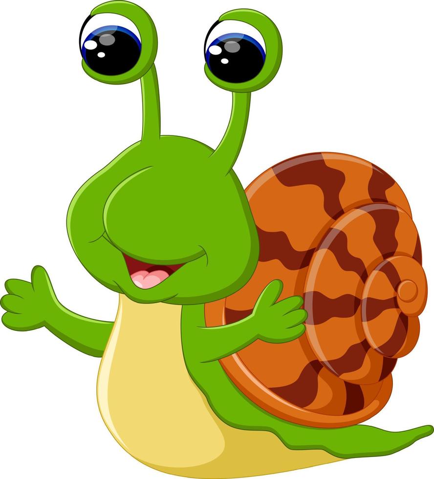 Funny snail cartoon vector