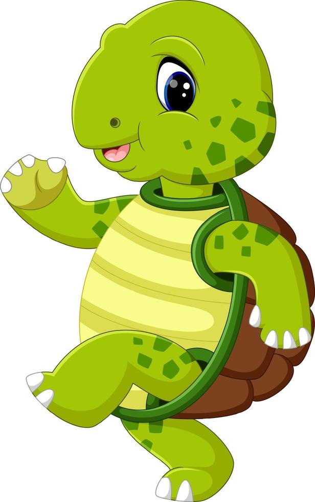 cute turtle cartoon vector
