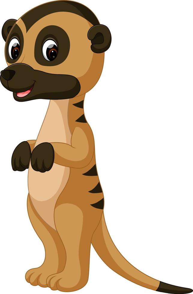 linda caricatura de suricata vector