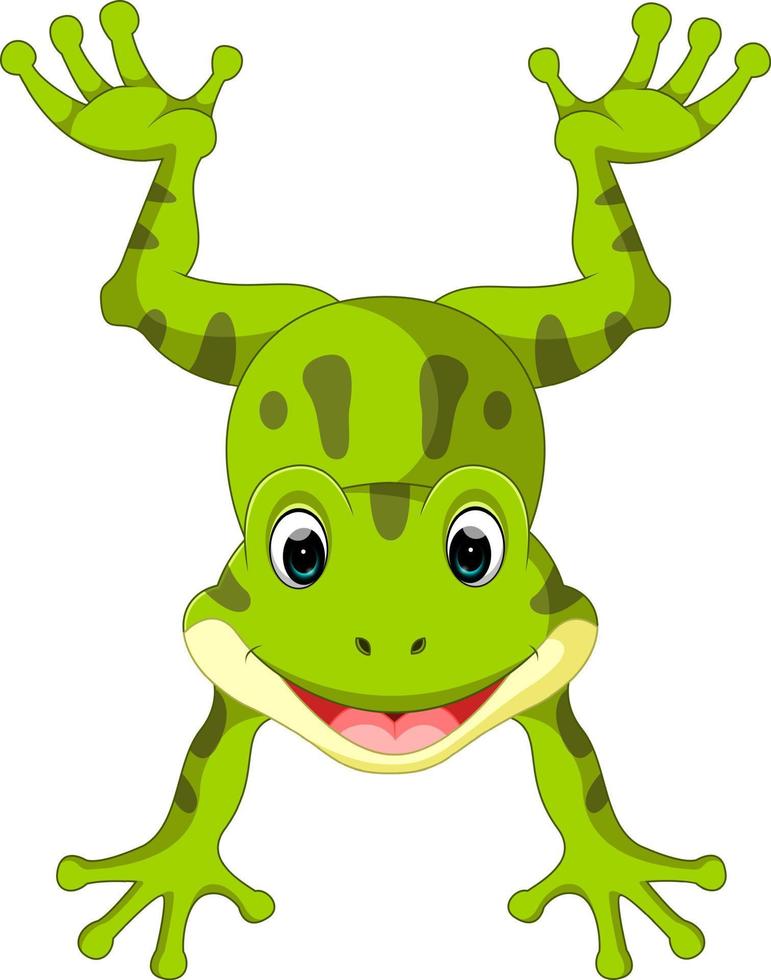 Cute frog cartoon vector