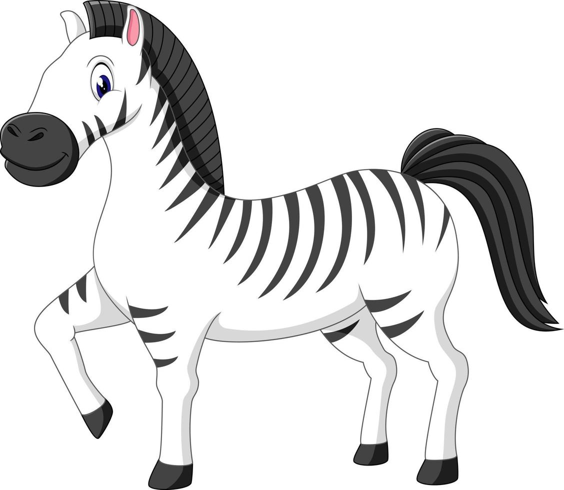 illustration of cute zebra cartoon vector