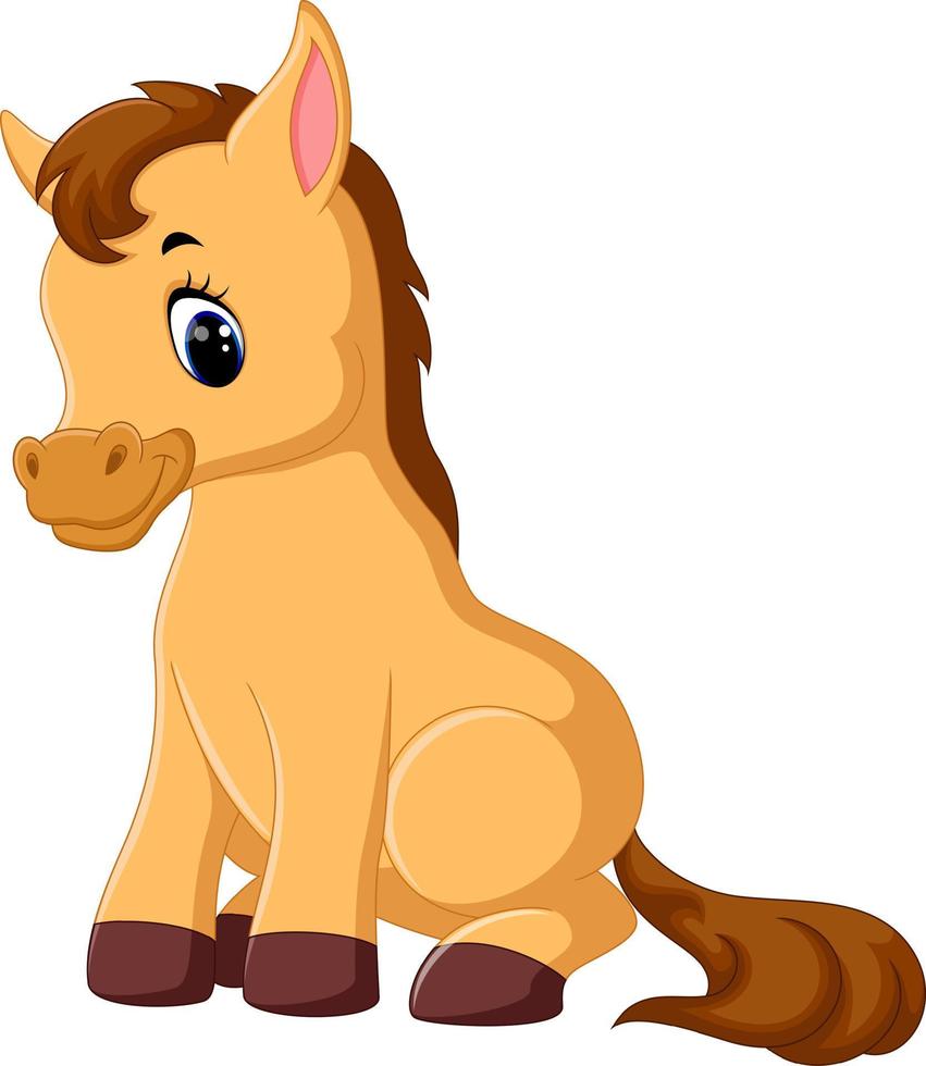 Cute baby horse sitting vector