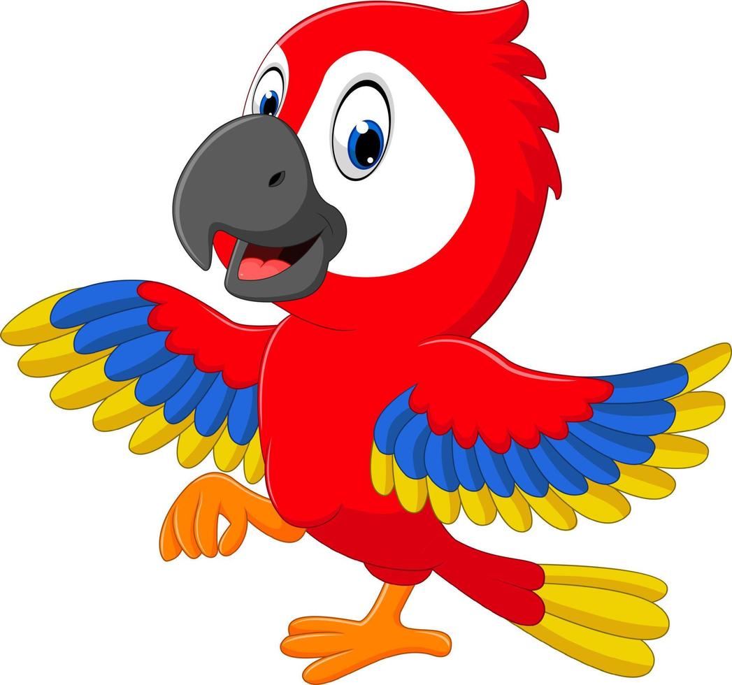 illustration of cute macaw cartoon vector