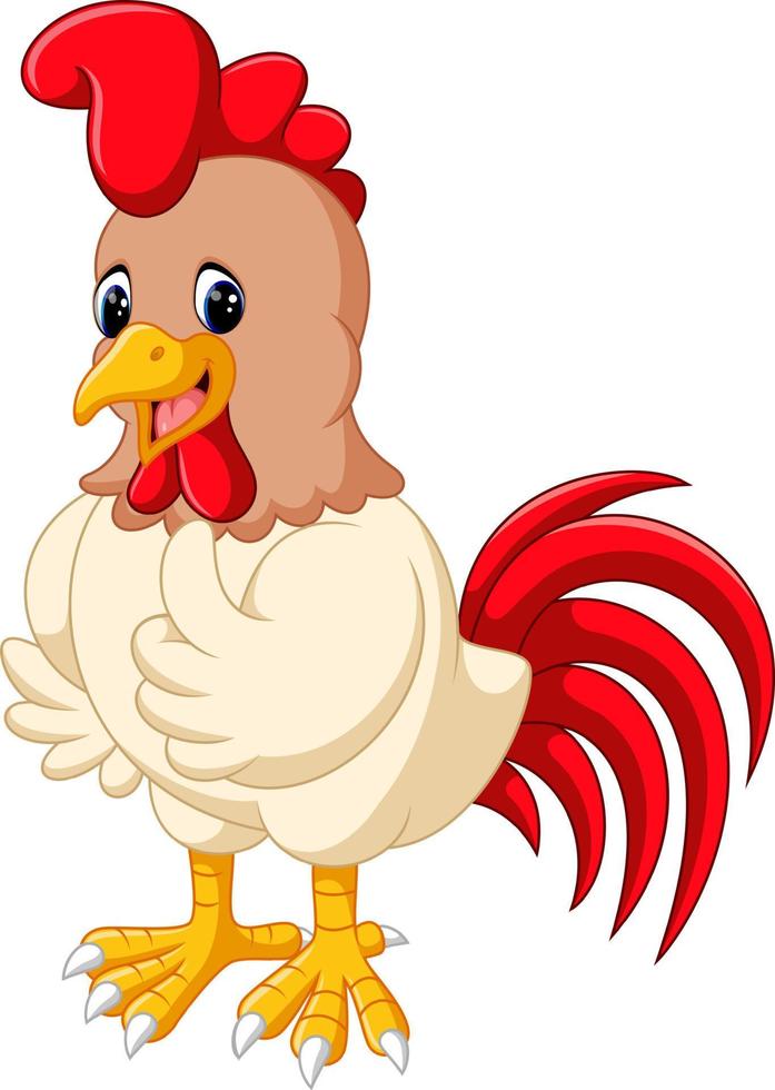 gallo de pollo de dibujos animados vector