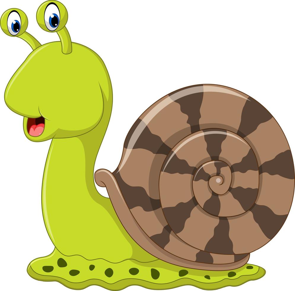 Cute snail cartoon vector