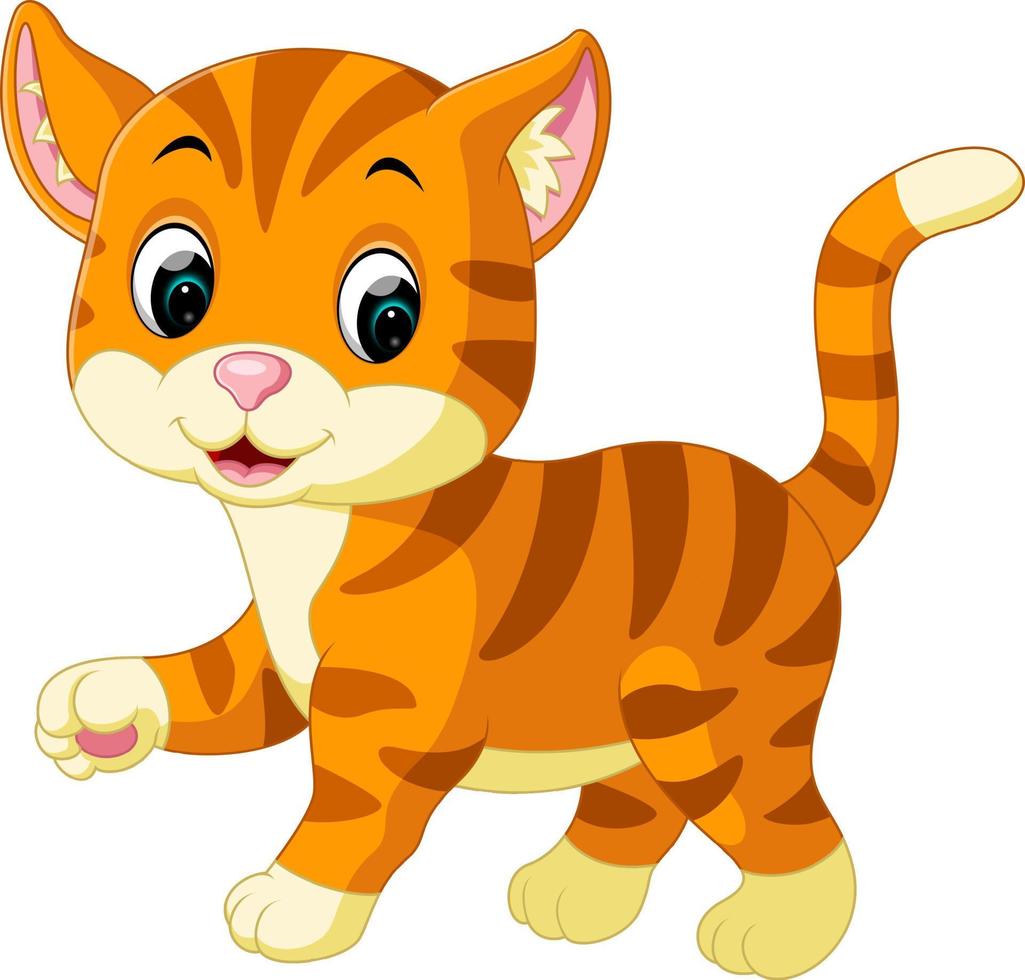 cute cat cartoon vector