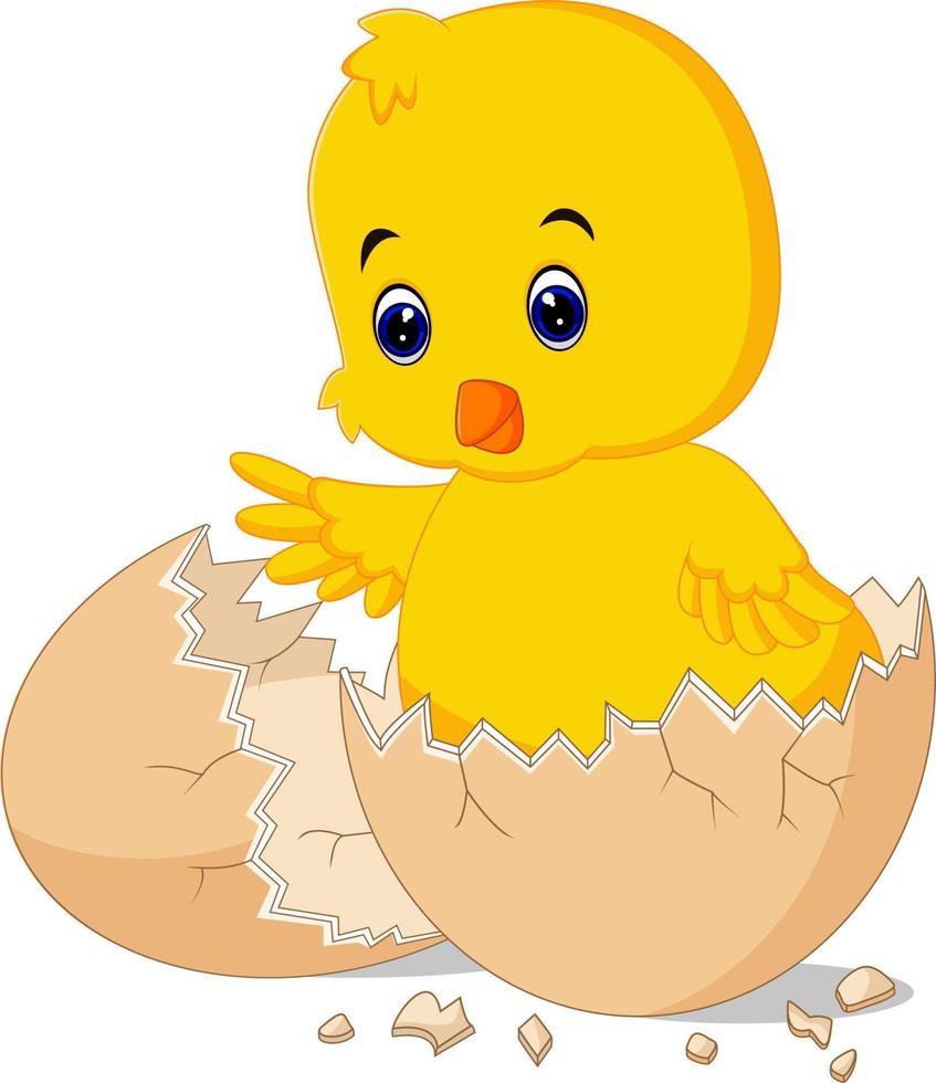 Cracked egg with cute bird inside vector