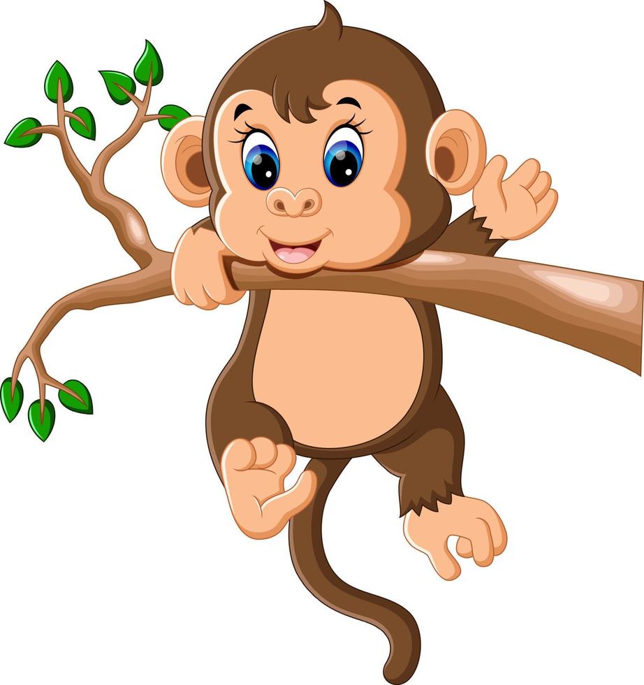 illustration of cute Cartoon monkey vector