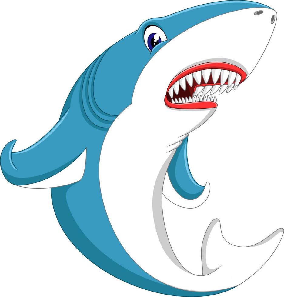 illustration of cute shark cartoon vector